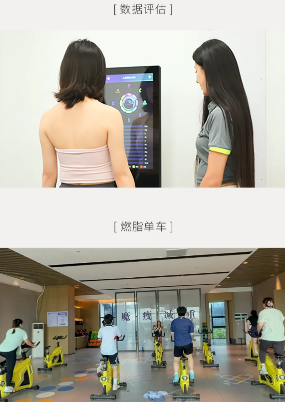 魔瘦减重·简章学习活动2
