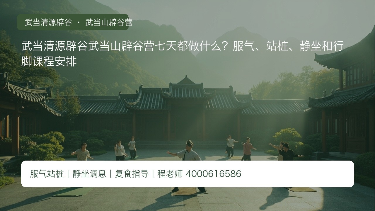 武当清源辟谷武当山辟谷营七天都做什么?服气、站桩、静坐和行脚课程安排
