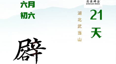 武当清源21天辟谷营来源课程海报