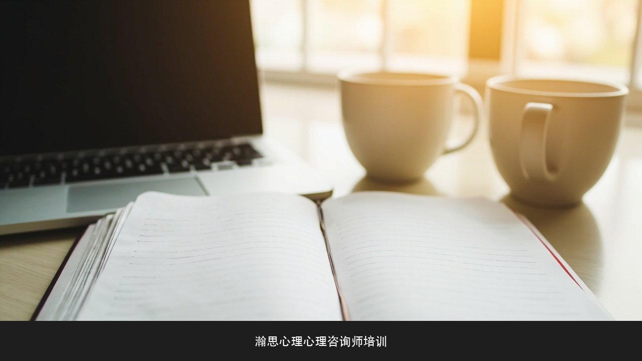 接个案为什么要督导 瀚思心理线上临床实践计划课程