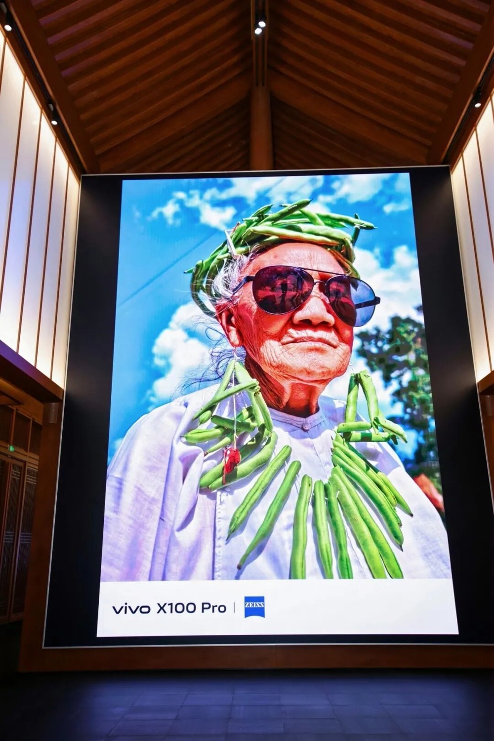 vivo X100 Pro 蔡司影像样张