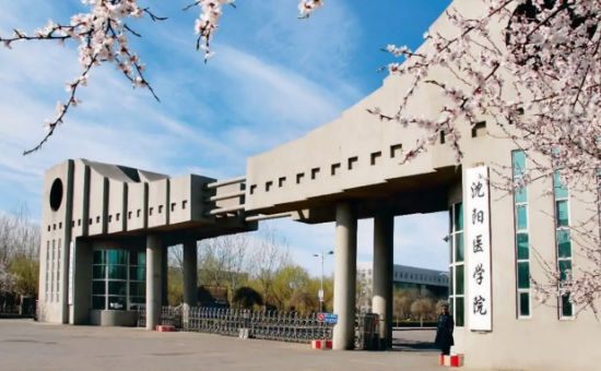 沈阳医学院同等学力申请硕士学位公共卫生与预防医学专业招生简章（学术型硕士学位）来源课程海报