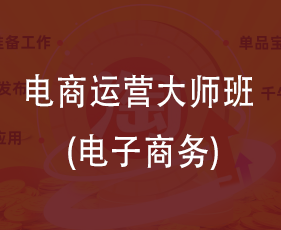 电商运营大师班(电子商务)来源课程海报