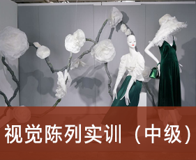 视觉陈列实训（中级）来源课程海报