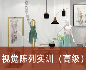 视觉陈列实训（高级）来源课程海报