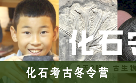 2023浙中少年化石考古冬令营
