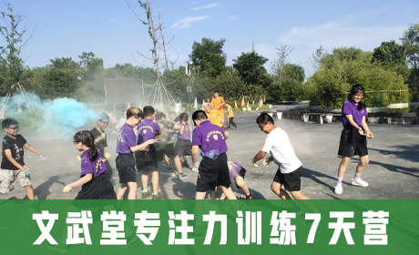 文武堂专注力训练7天营来源课程海报