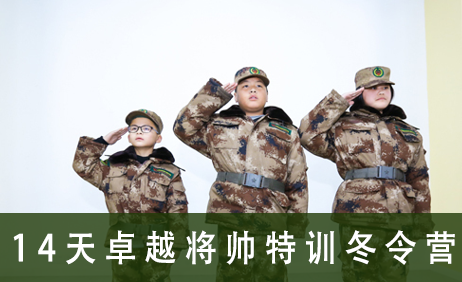14天卓越将帅特训冬令营来源课程海报