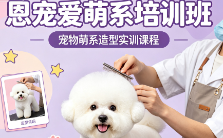 恩宠爱萌系培训班来源课程海报