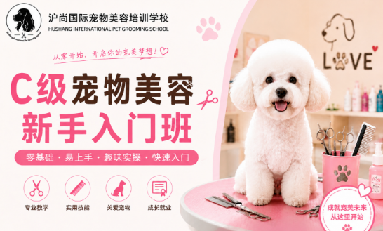 沪尚新手入门班课程来源课程海报