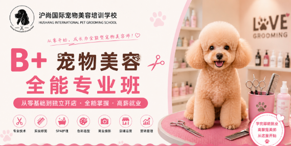 沪尚B+全能专业班课程来源课程海报
