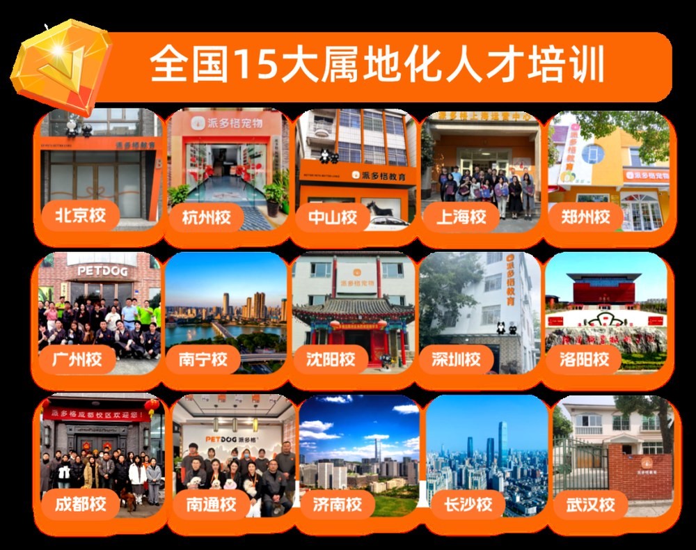 派多格宠物美容培训学校20年连锁办学：零基础学宠物美容怎么判断课程配图2
