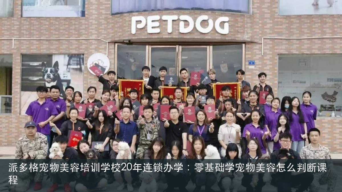 派多格宠物美容培训学校20年连锁办学：零基础学宠物美容怎么判断课程封面