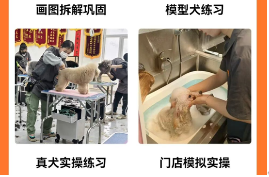 课程相关配图