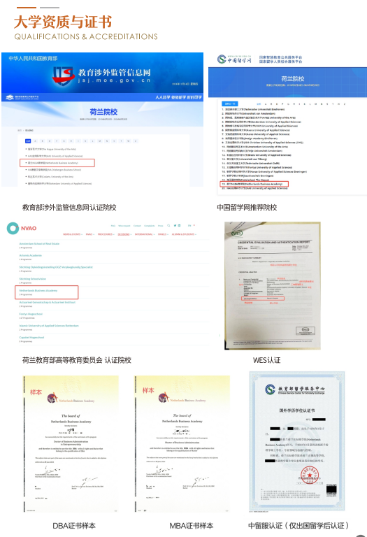 荷兰NLBA商学院工商管理博士DBA课程课程资料